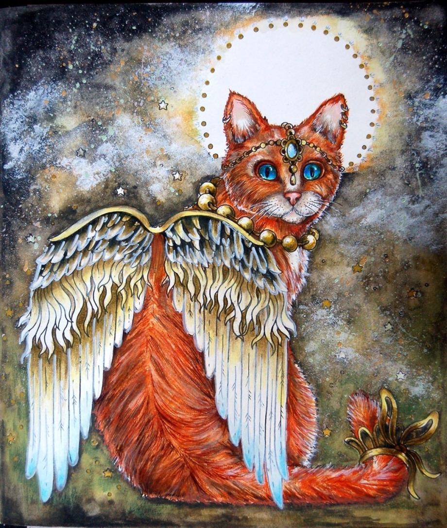 Ангел с котом картинка
