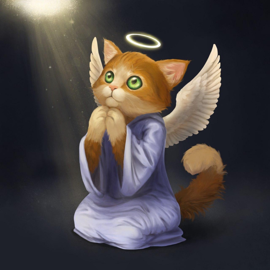 Кот Ангелочек