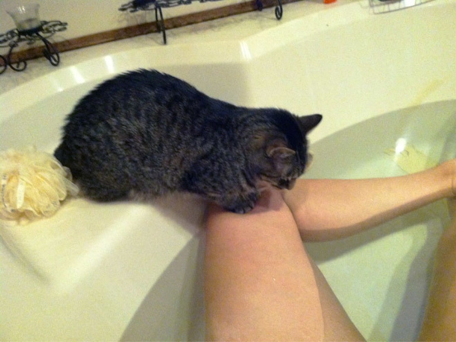 Кот в ванне с девушкой