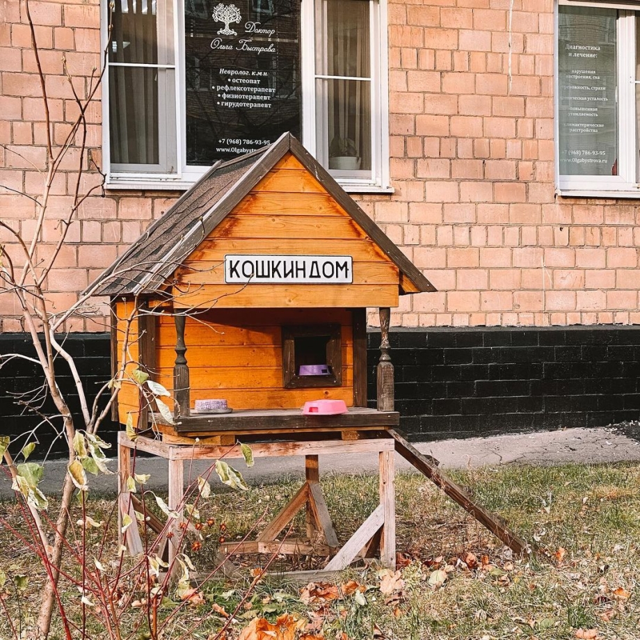 Кошкин дом для бездомных кошек