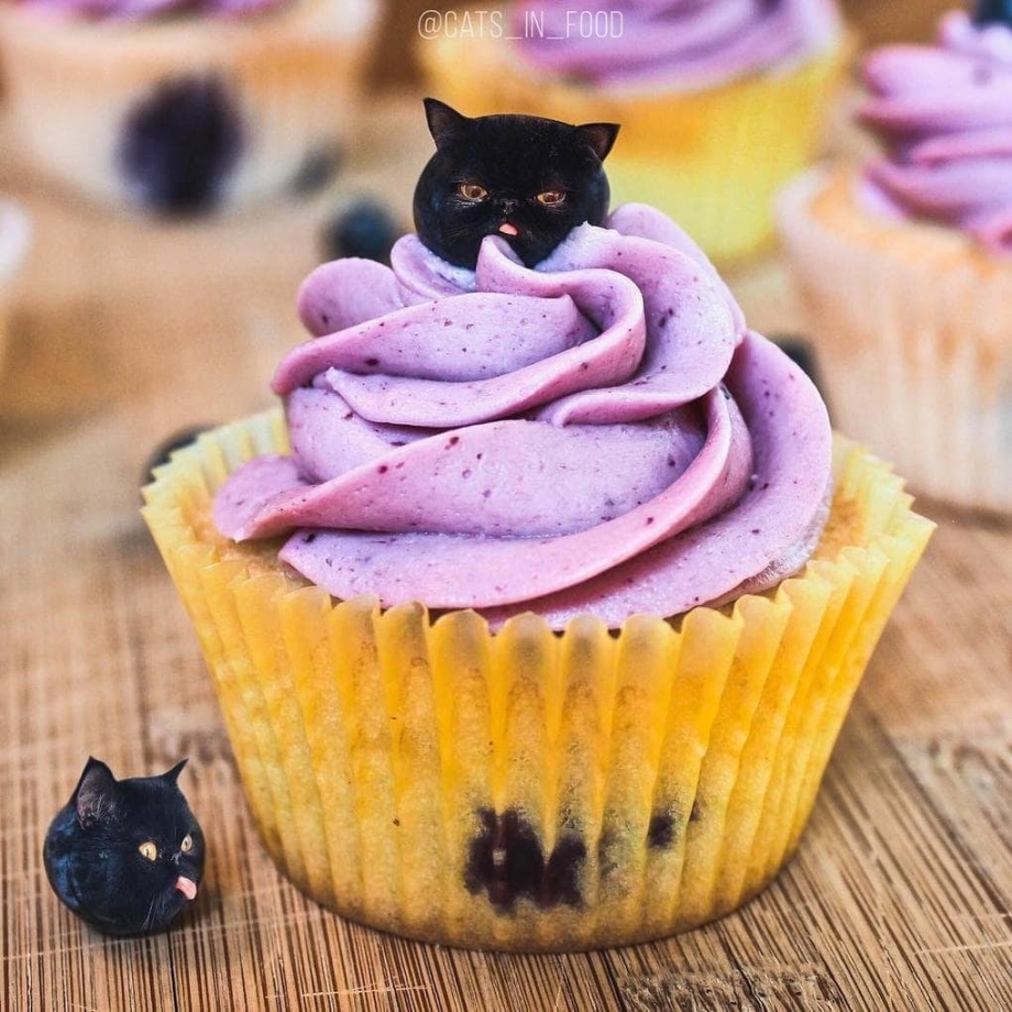 Ксения Змановская еда и котики