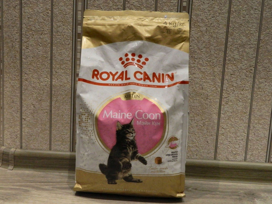 Royal Canin Maine Coon Kitten сухой корм для котят породы Мейн-кун, 400 гр