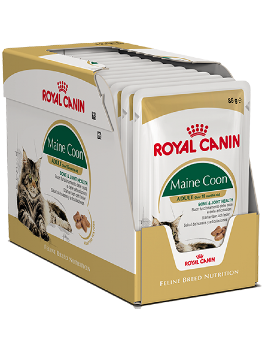 Royal Canin Kitten Maine Coon