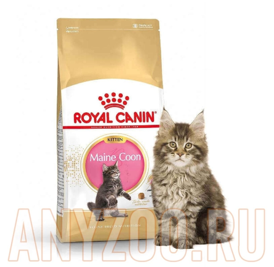Royal Canin Maine Coon 4 кг.