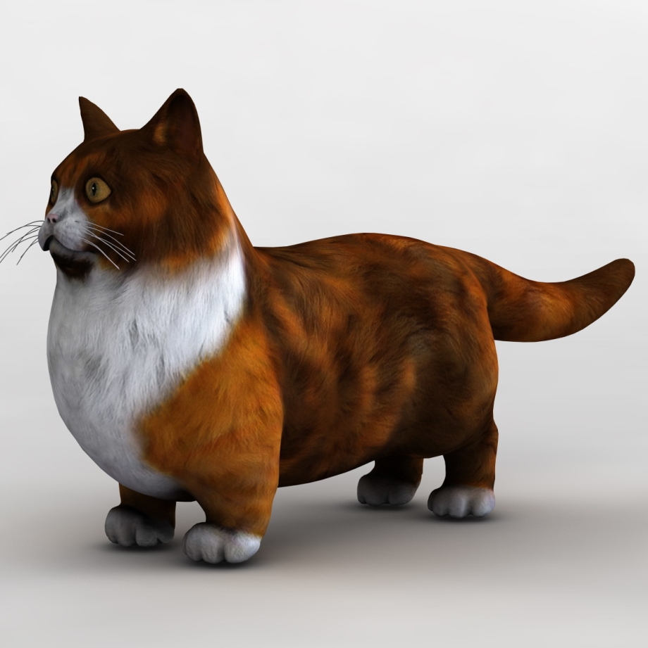 Манчкин 3d model