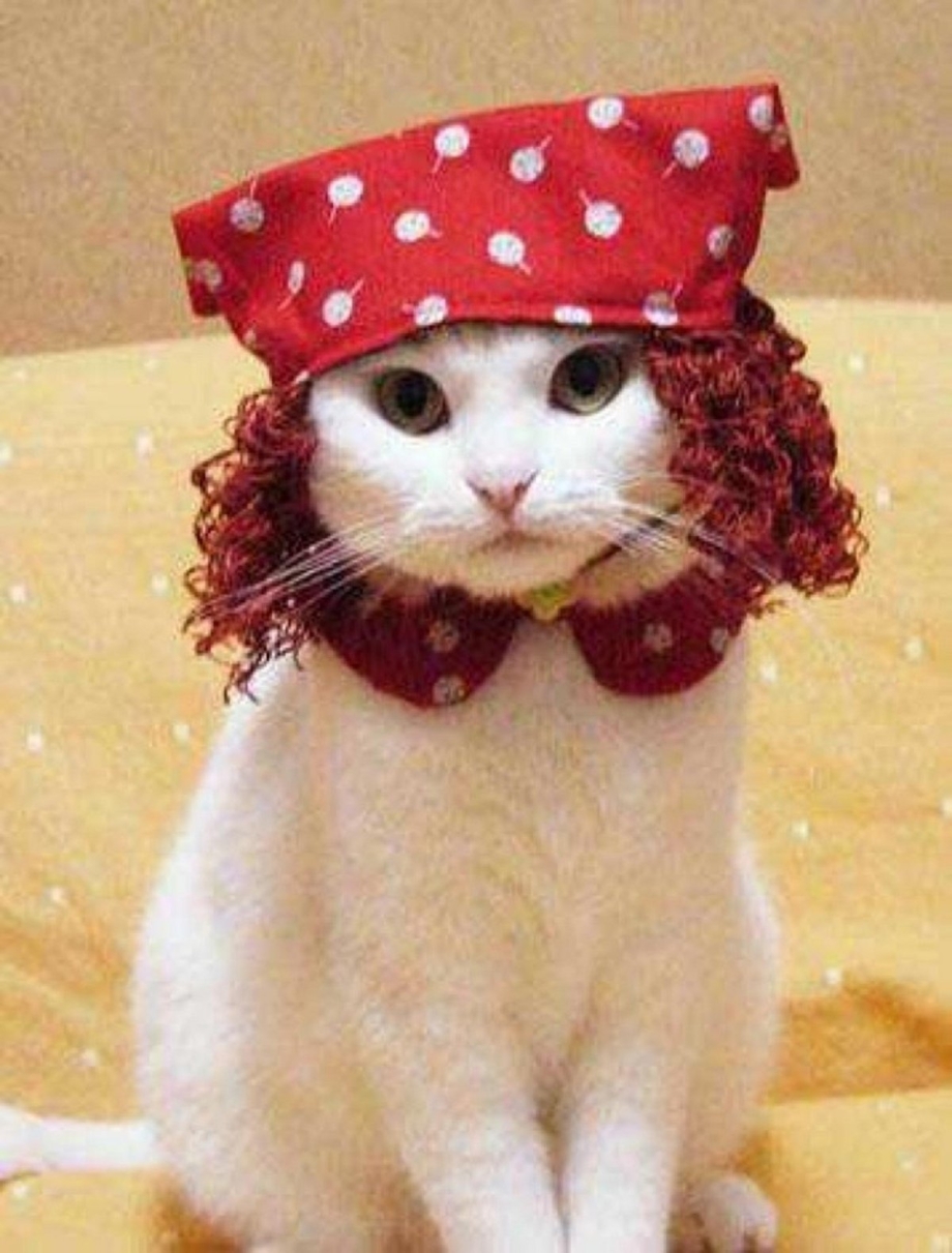 Платок с кошками