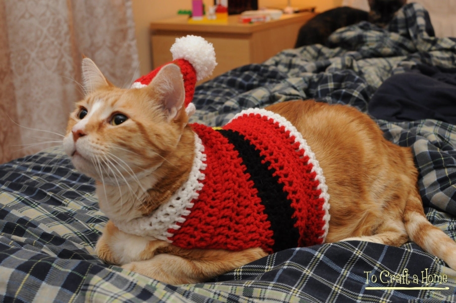 Новогодняя кофта с котом