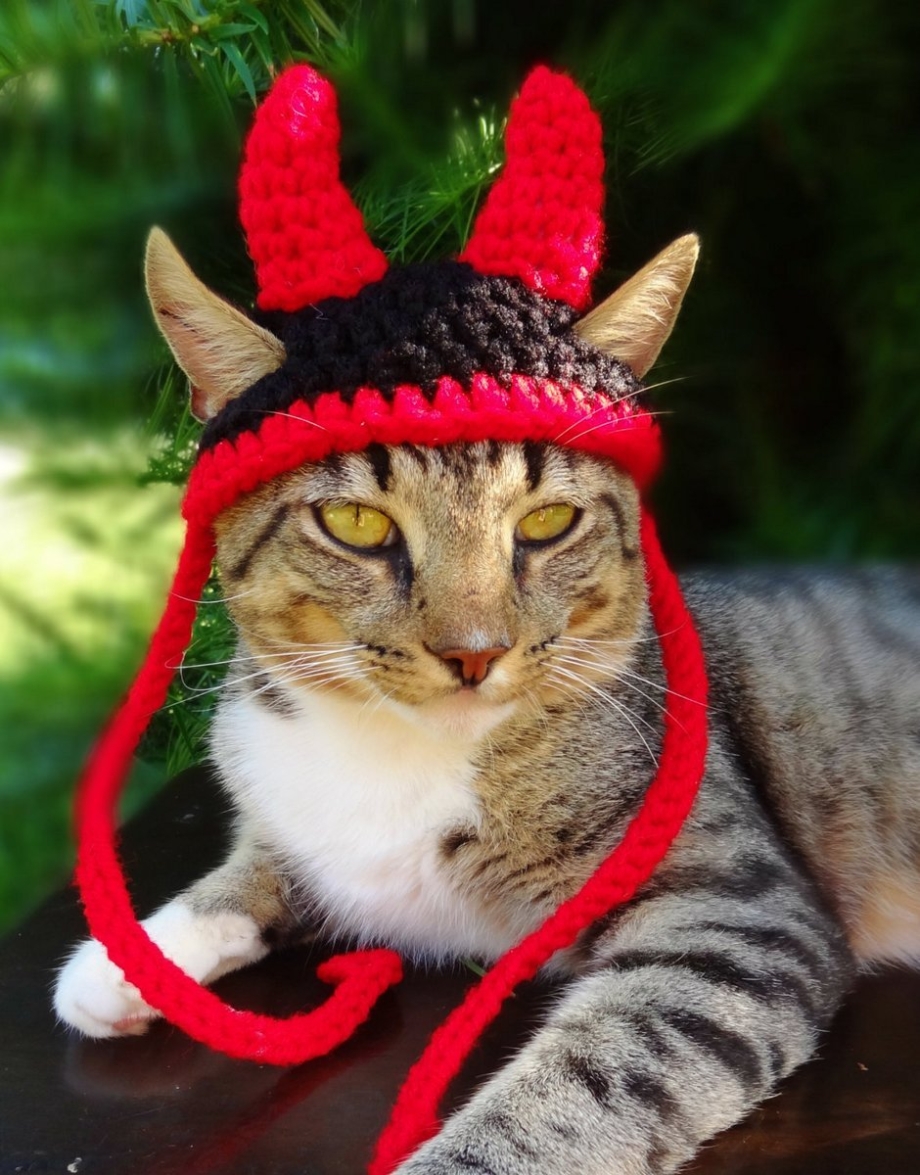 Шапка "кошка"