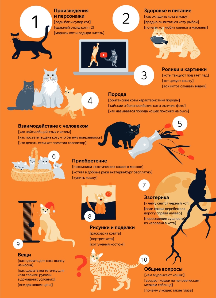 Возраст кота и человека