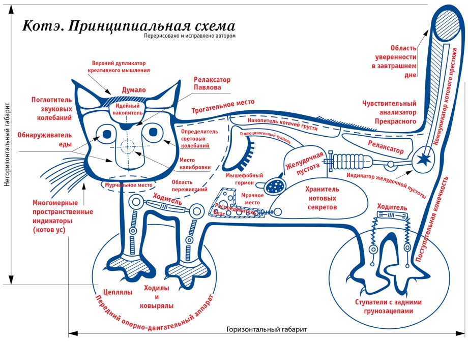 Воспитанный кот