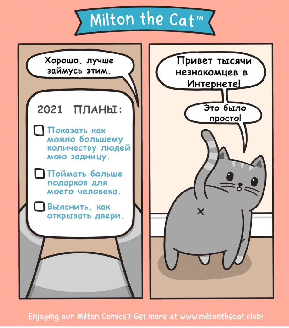 Коты живут в среднем
