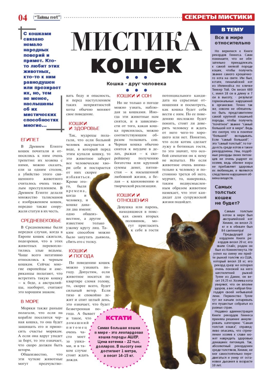 Жизнь котов важна