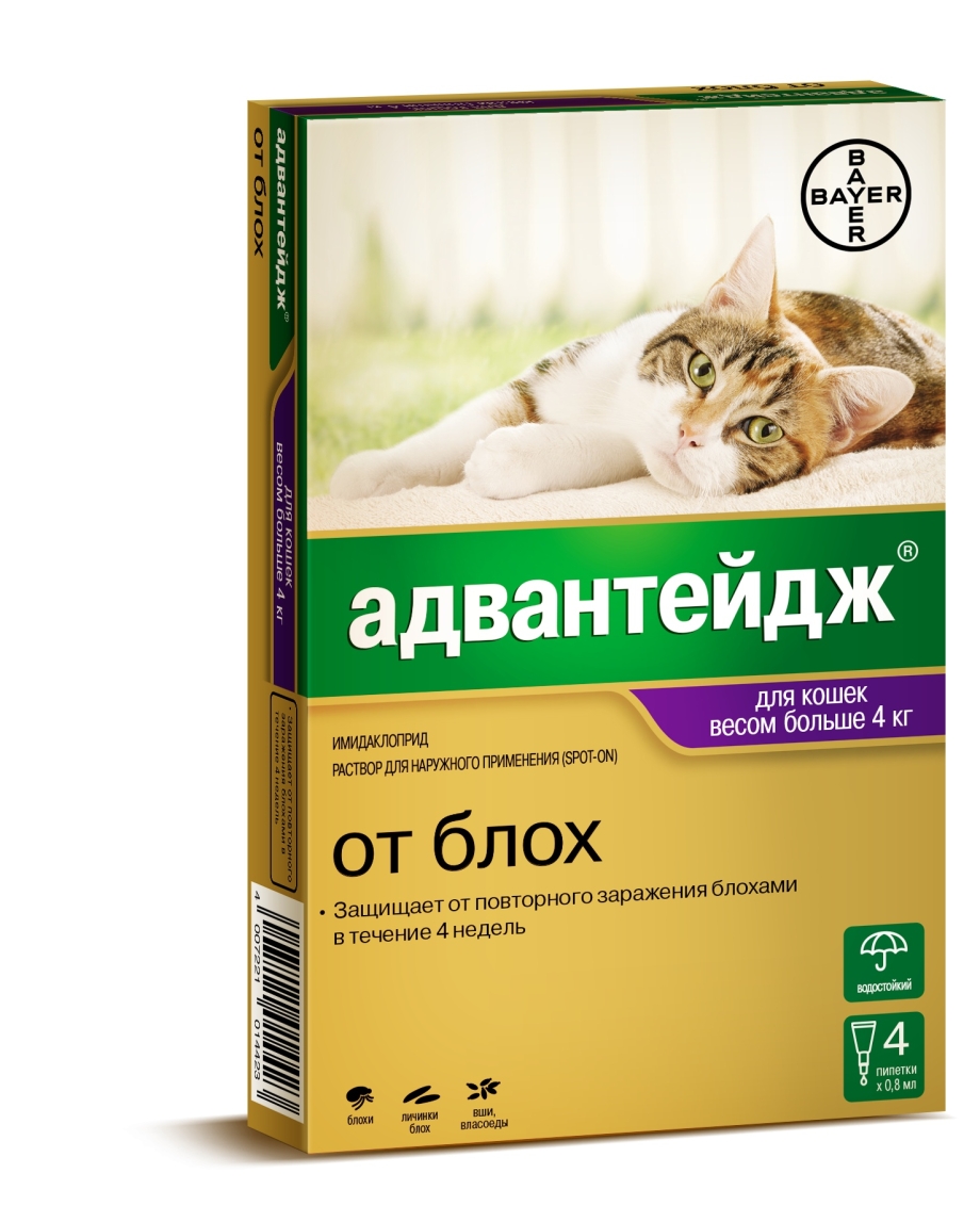 Bayer Адвантейдж 40 к для кошек до 4 кг (4 пипетки х 0,4 мл)