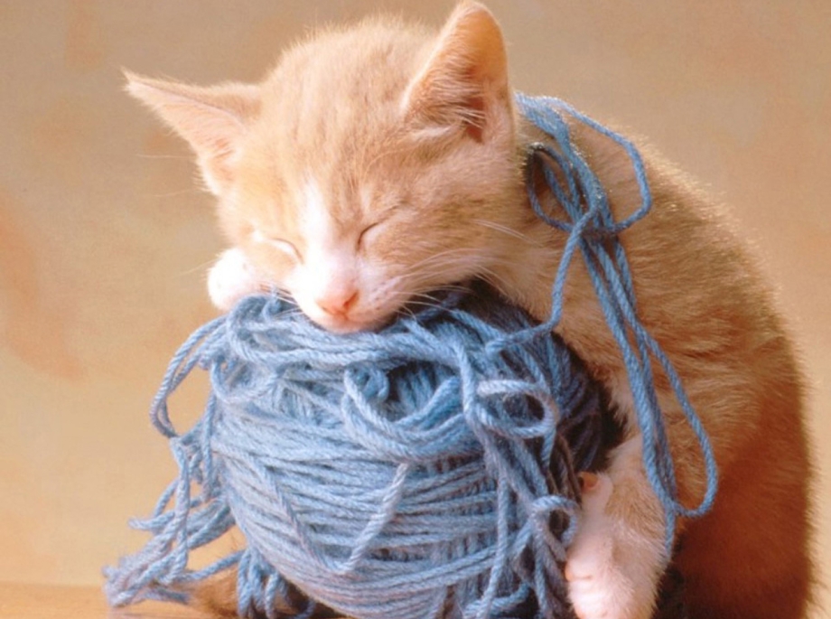 Кот с клубком