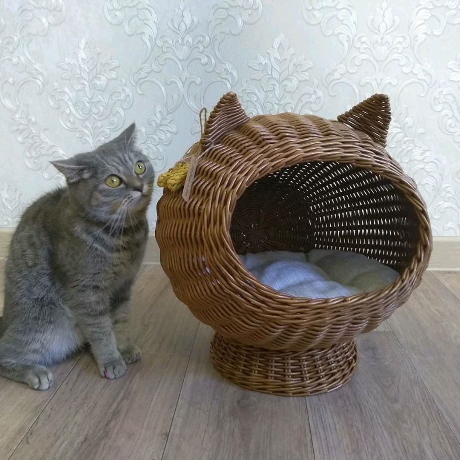 Кошачий домик с ушками