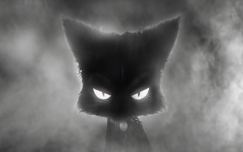 Cazzette she wants me Dead