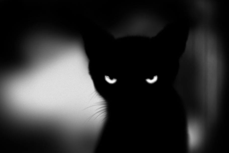 Страшная черная кошка