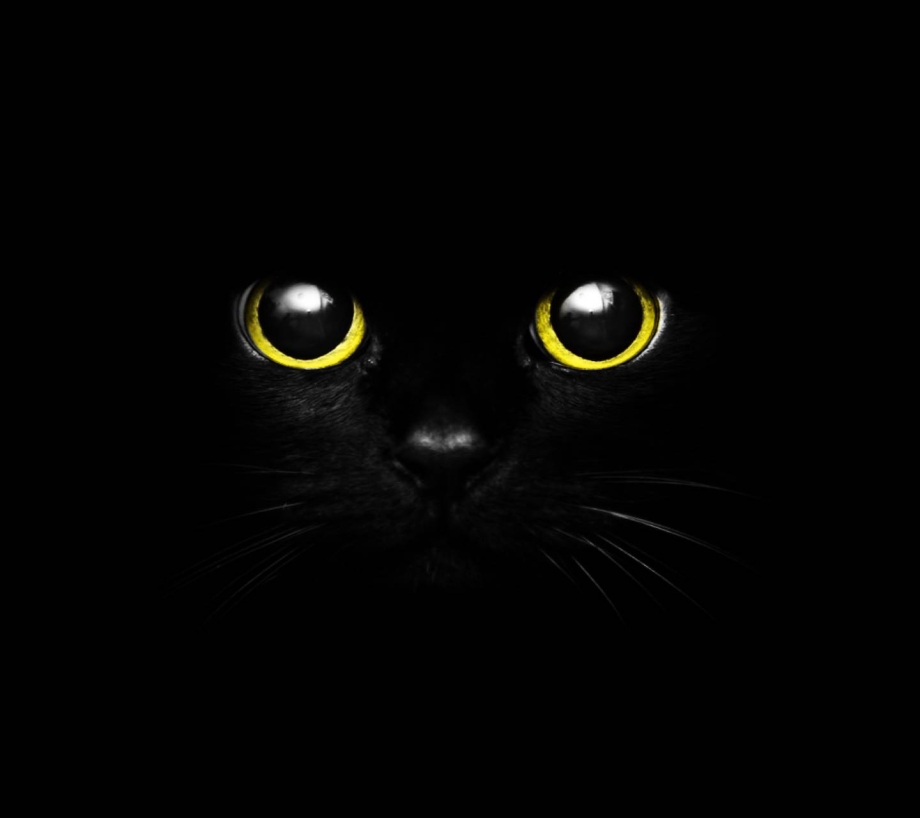 Кошачьи глаза в темноте