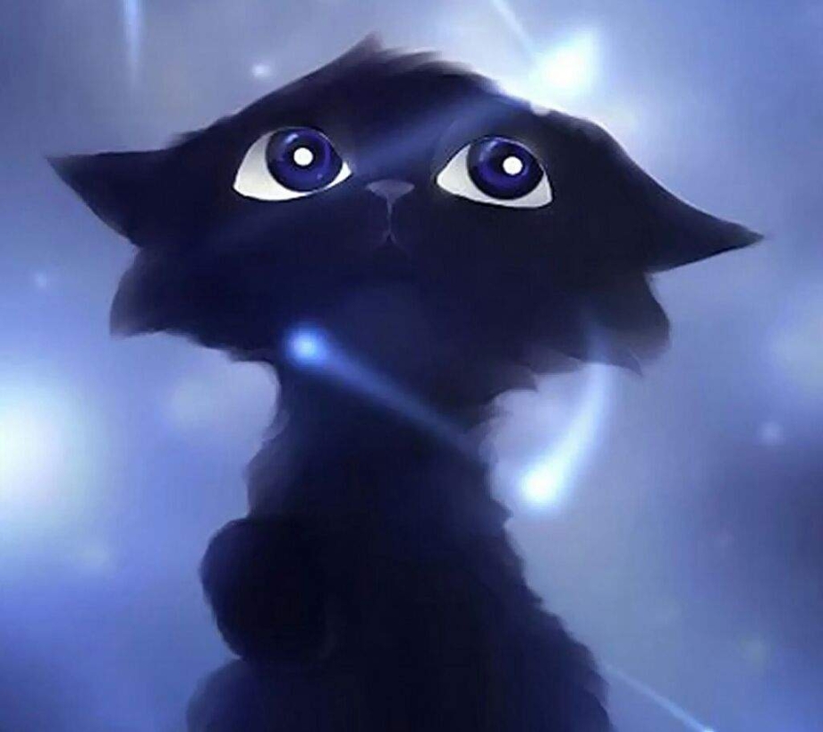 Чёрный кот арт