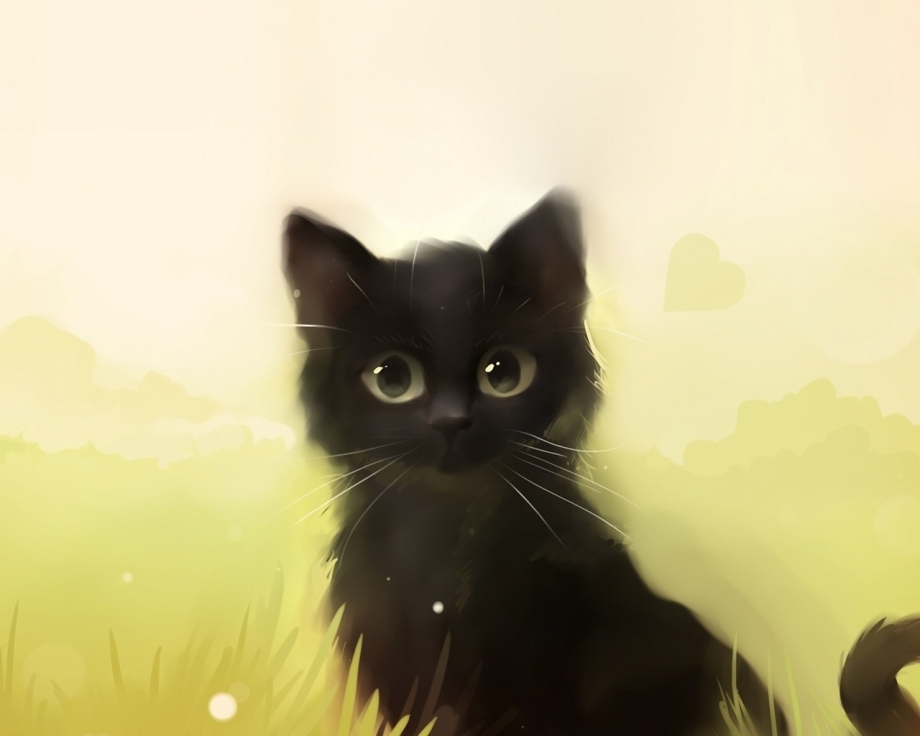 Мистер полночь fran Bow