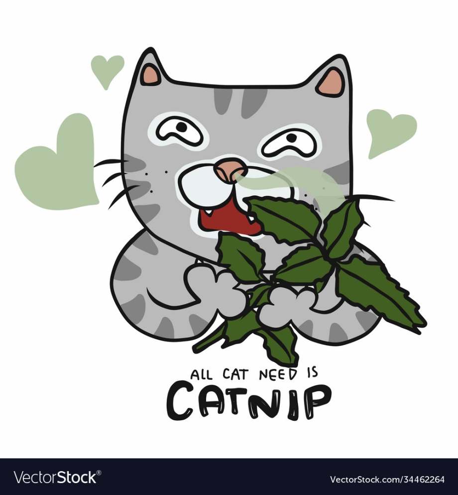 Коты Воители Айла