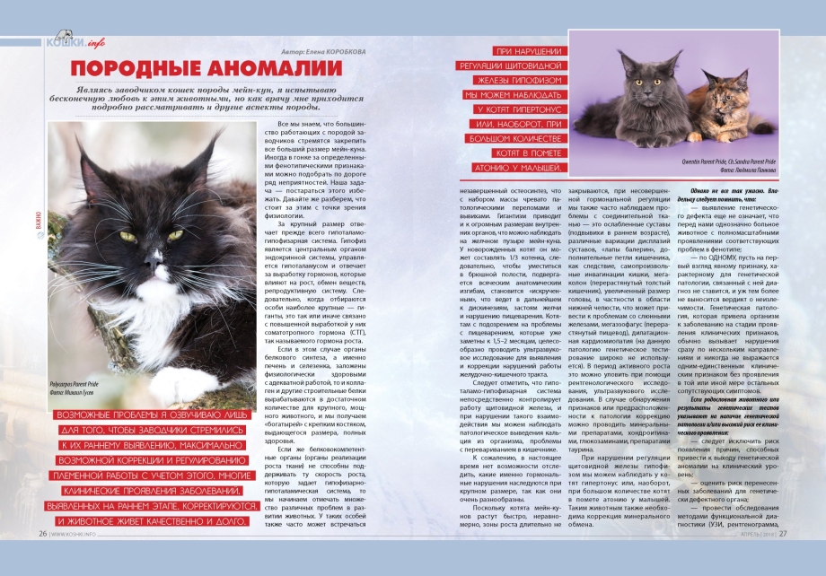 Журнал про кошек