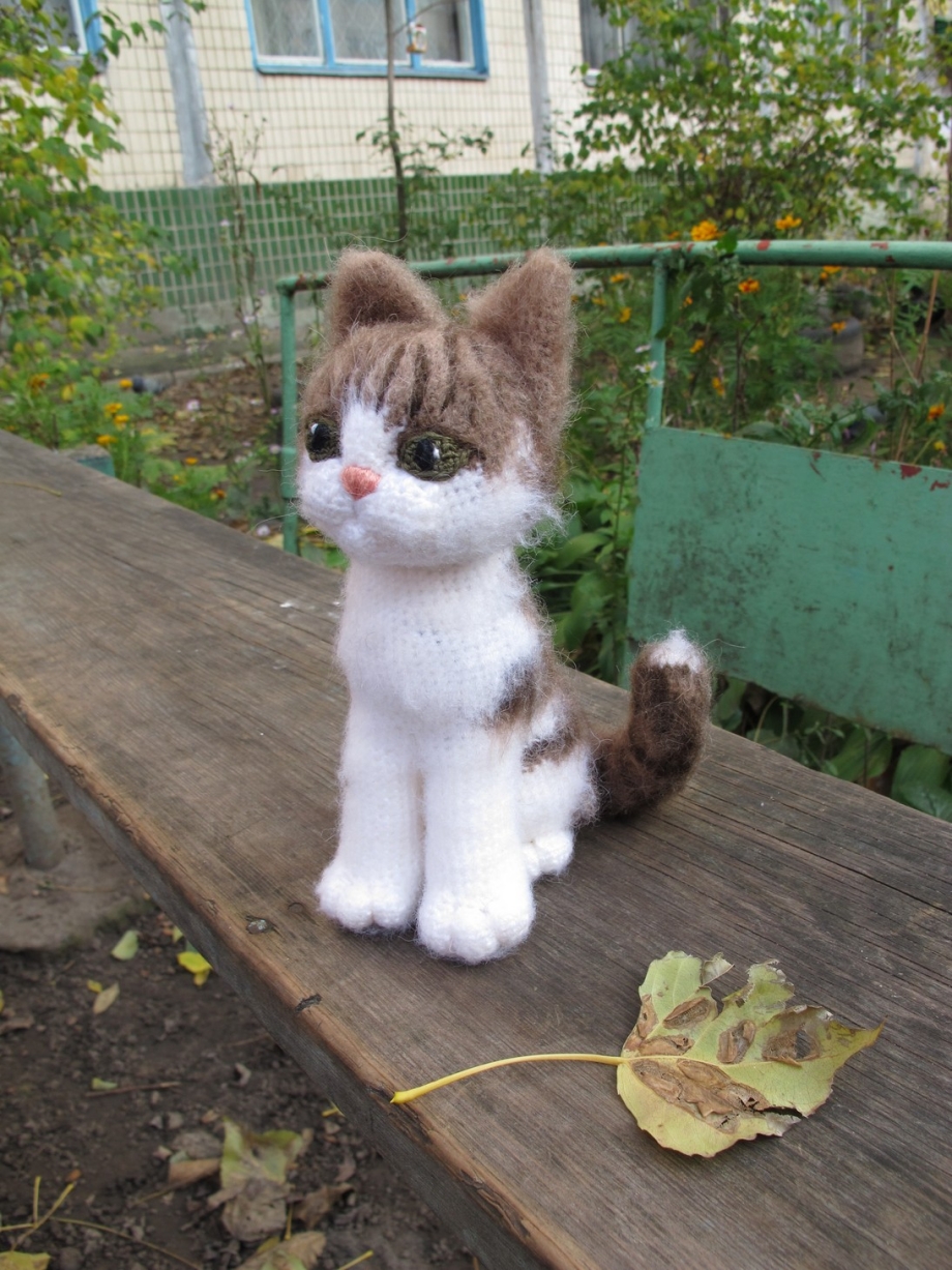 Вязаные живые котята