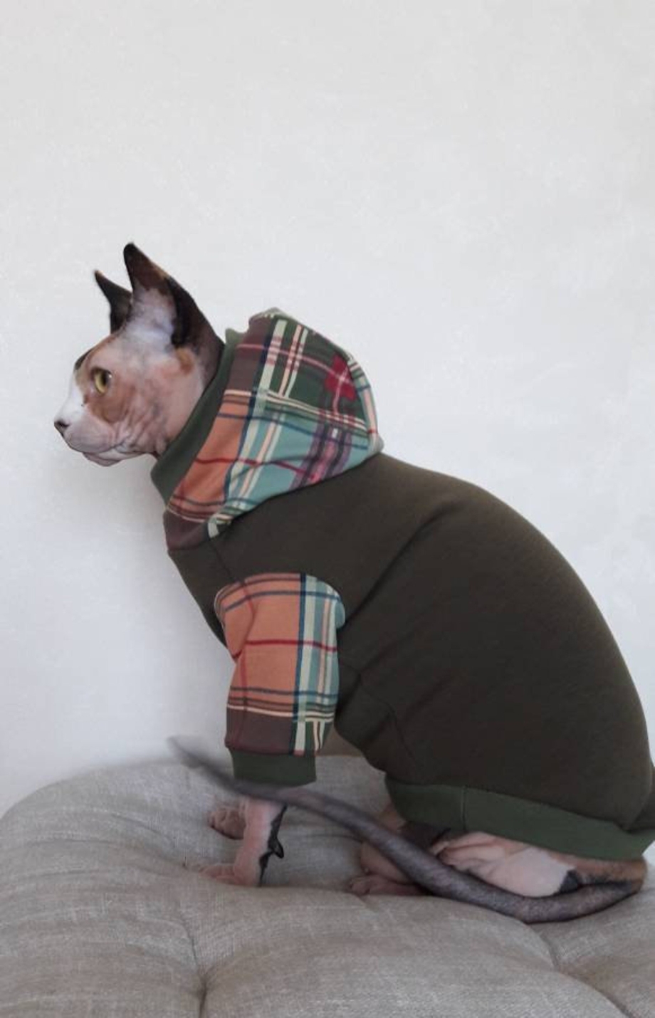 Худи для кошек спицами