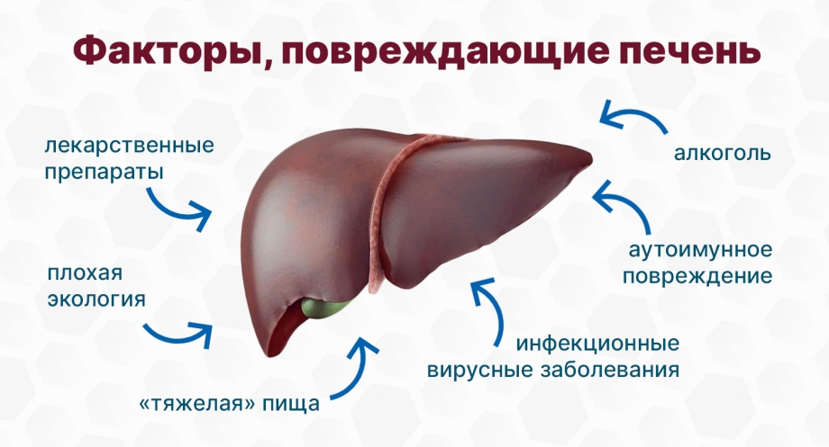 Жировой гепатоз очаговая форма на УЗИ