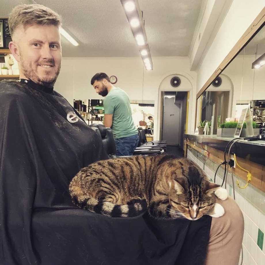 Котик в парикмахерской