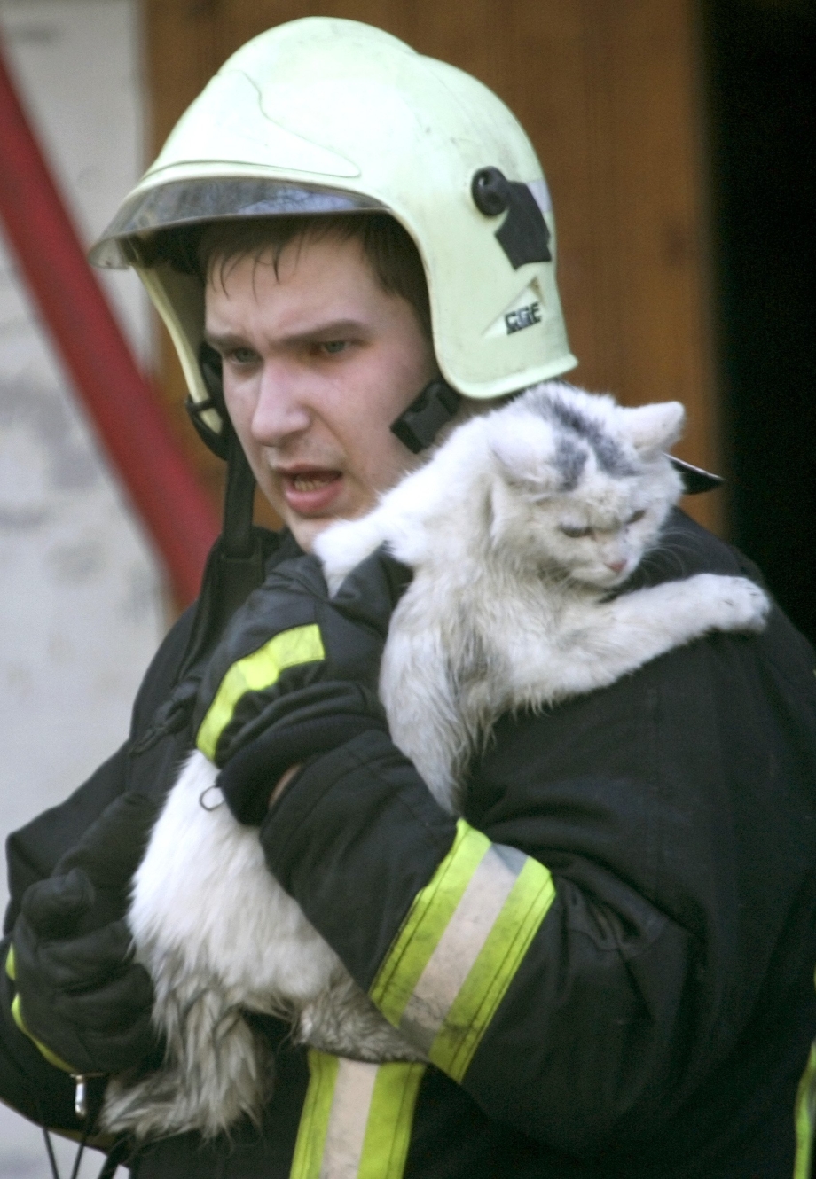 Пожарный спас кота