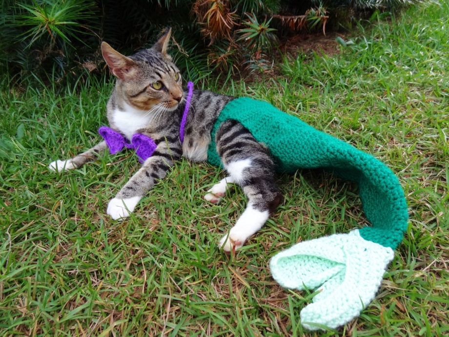 Котик Русалочка