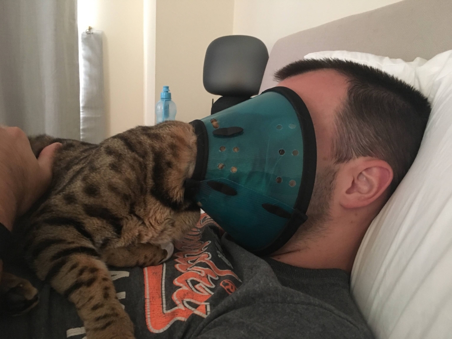 Кот и хозяин