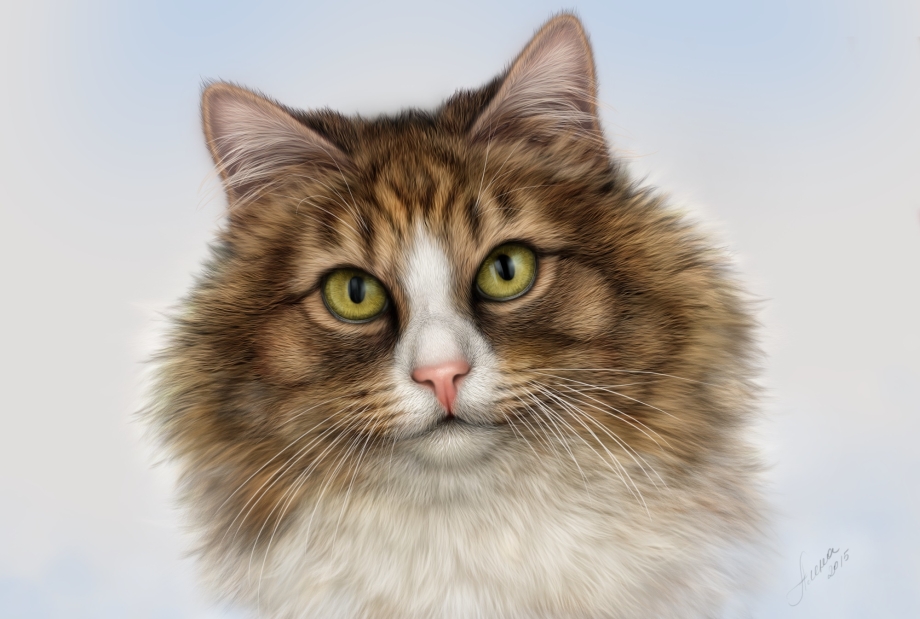 Кошка арт