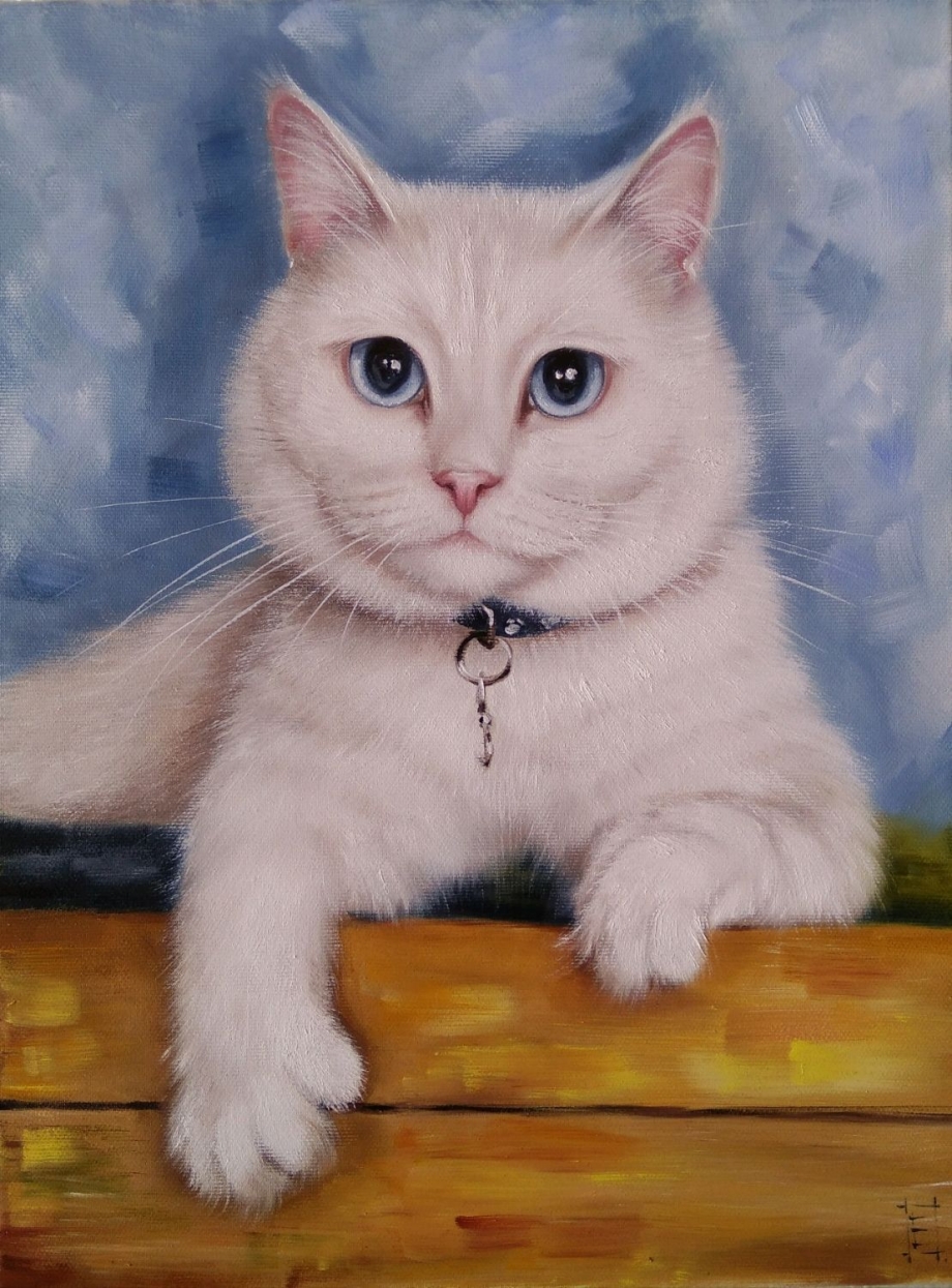 Портреты красивых кошек