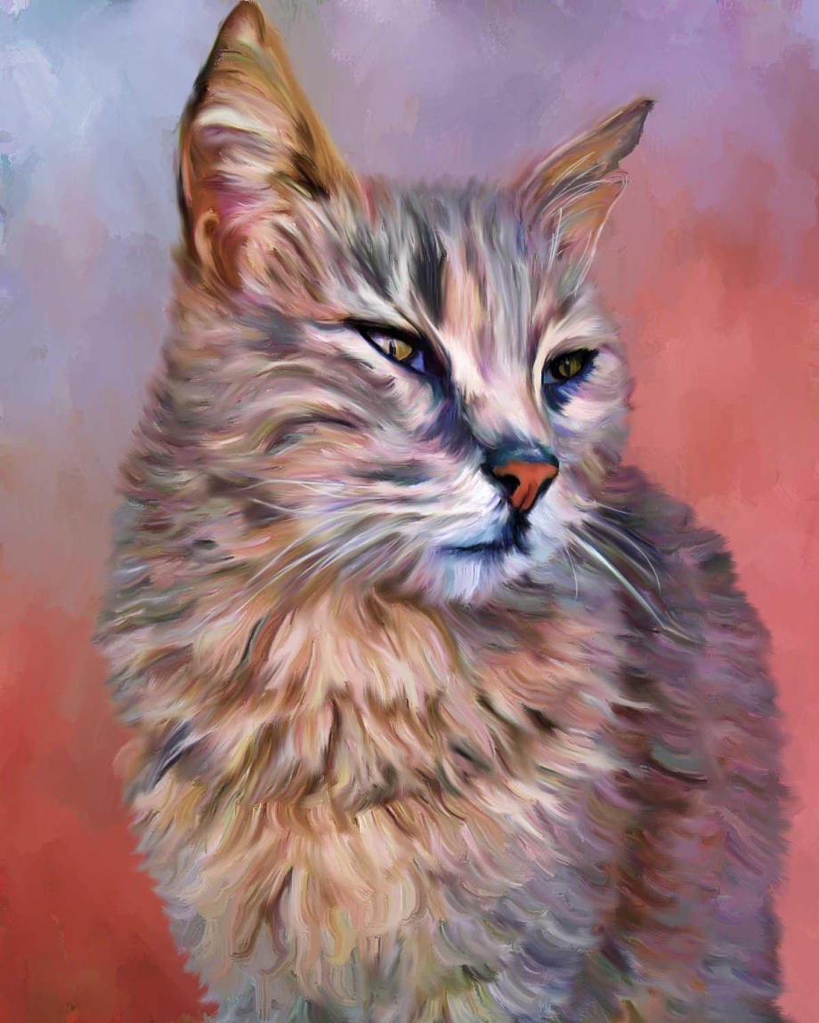 Дженнифер Дженнари кошки