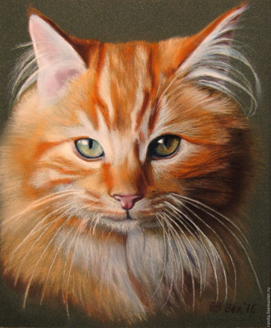 Коты живопись Сьюзен Херберт