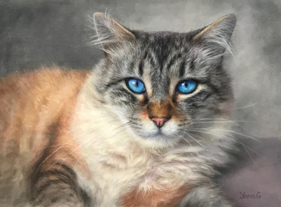 Портрет с котом живопись