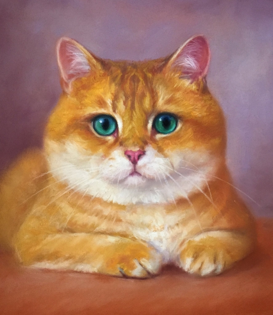 Портрет кошки маслом