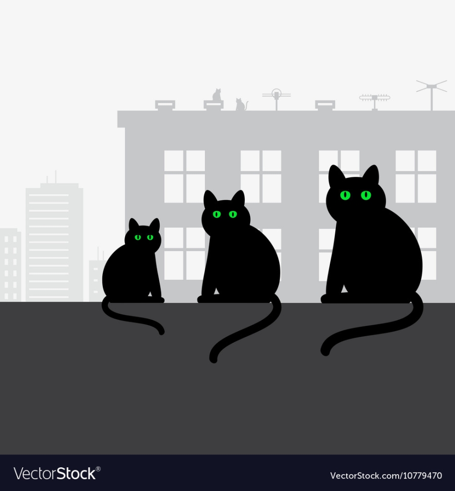 Черная лапка кошки