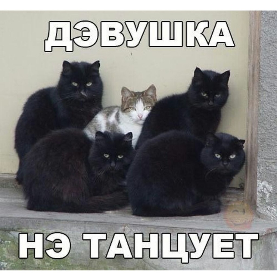 Котик обнимает ногу