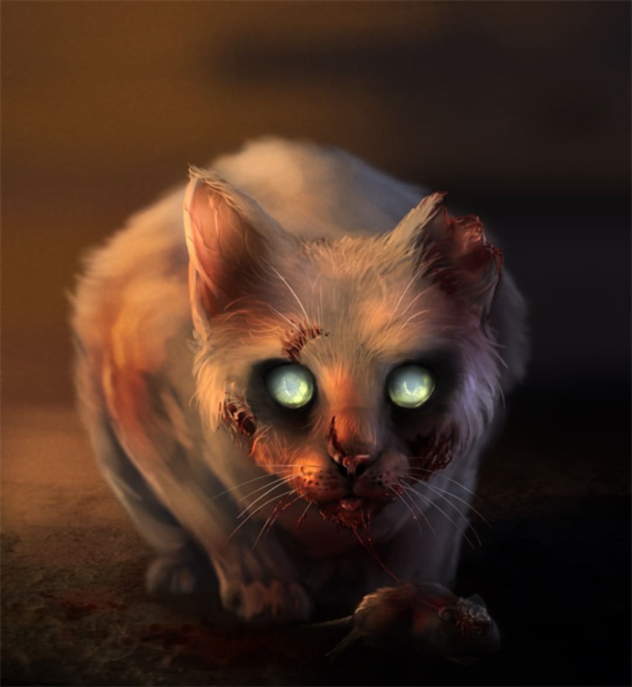 Страшный кот