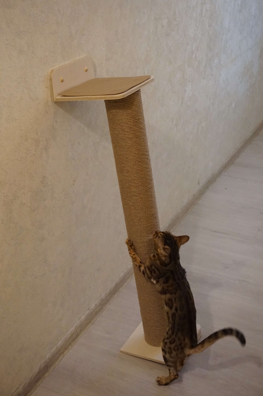 Столбики для кошек