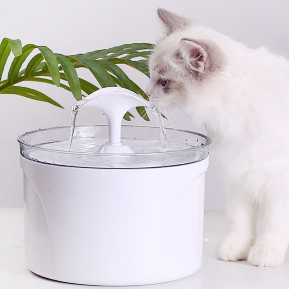 Поилка для кота