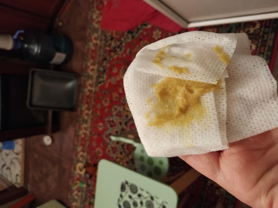 Слизь с кровью в Кале у щенка