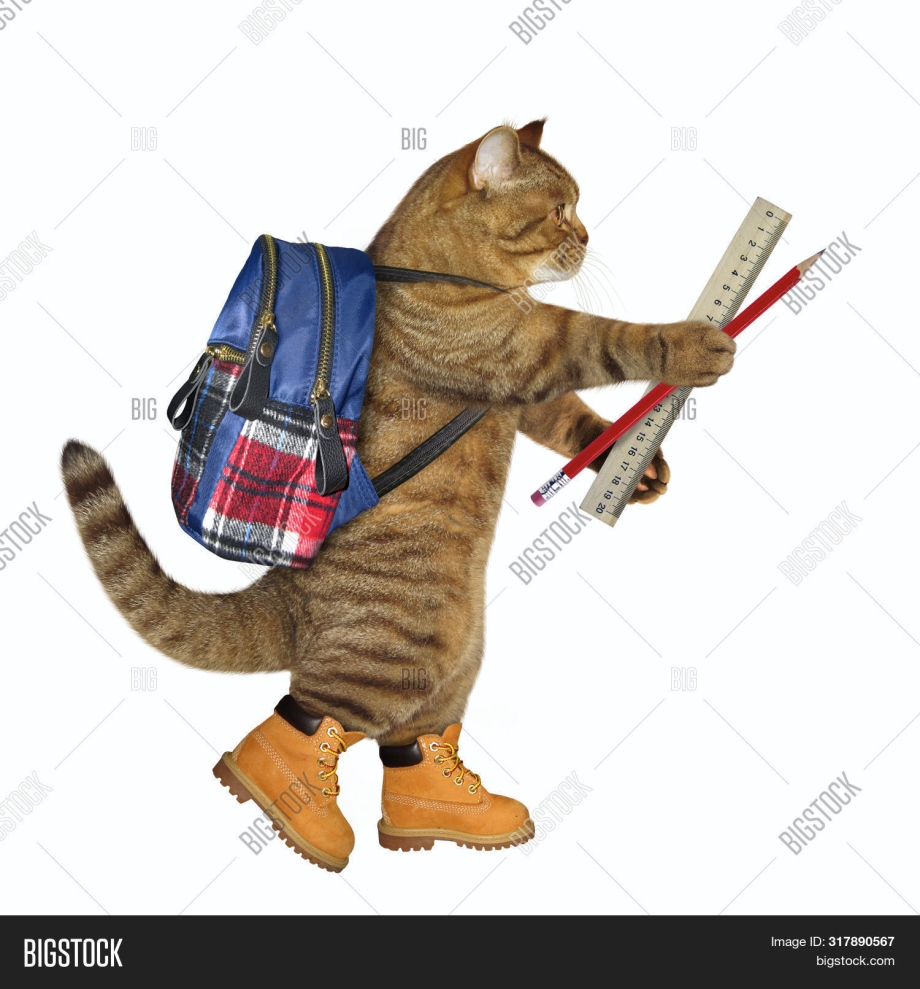 Рюкзак с котятами