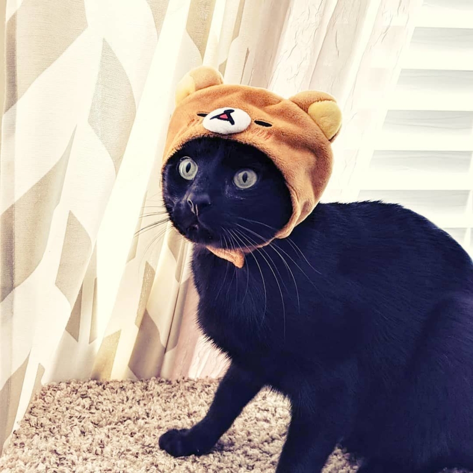 Шапка "кошка"