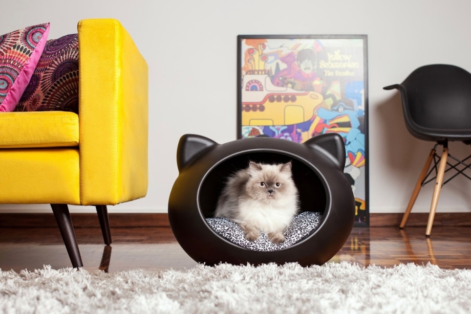 Котики в интерьере