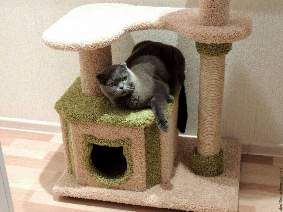Дом для кота