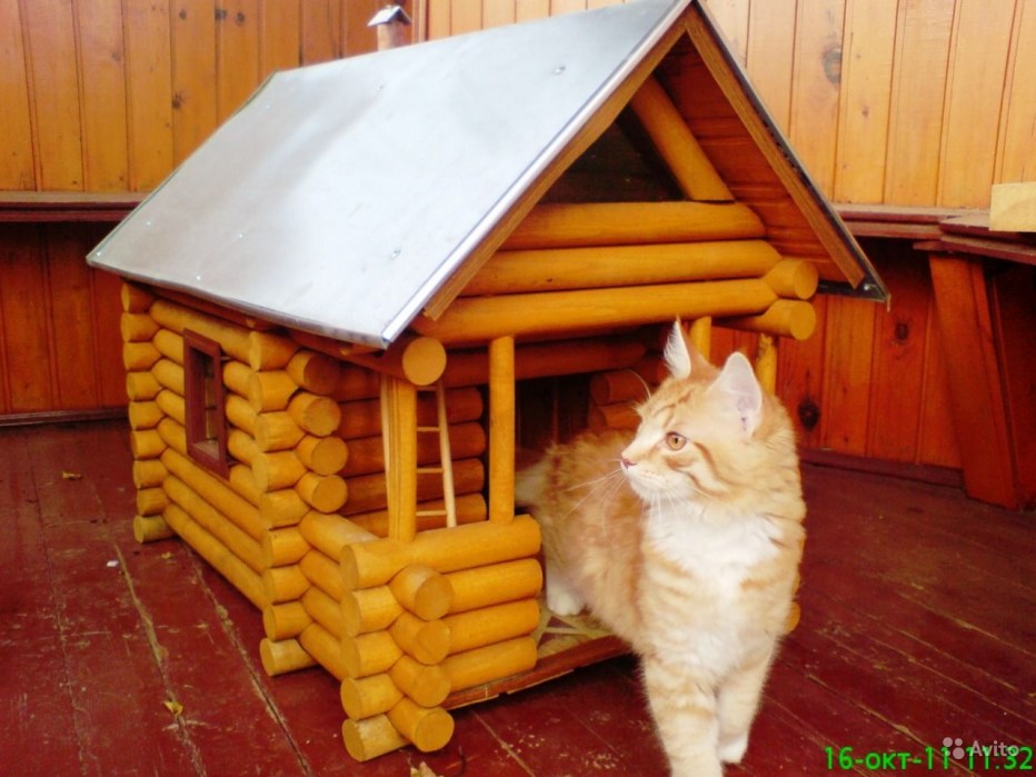 Будка для котов